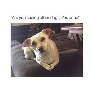 Meet your Posher, Ross